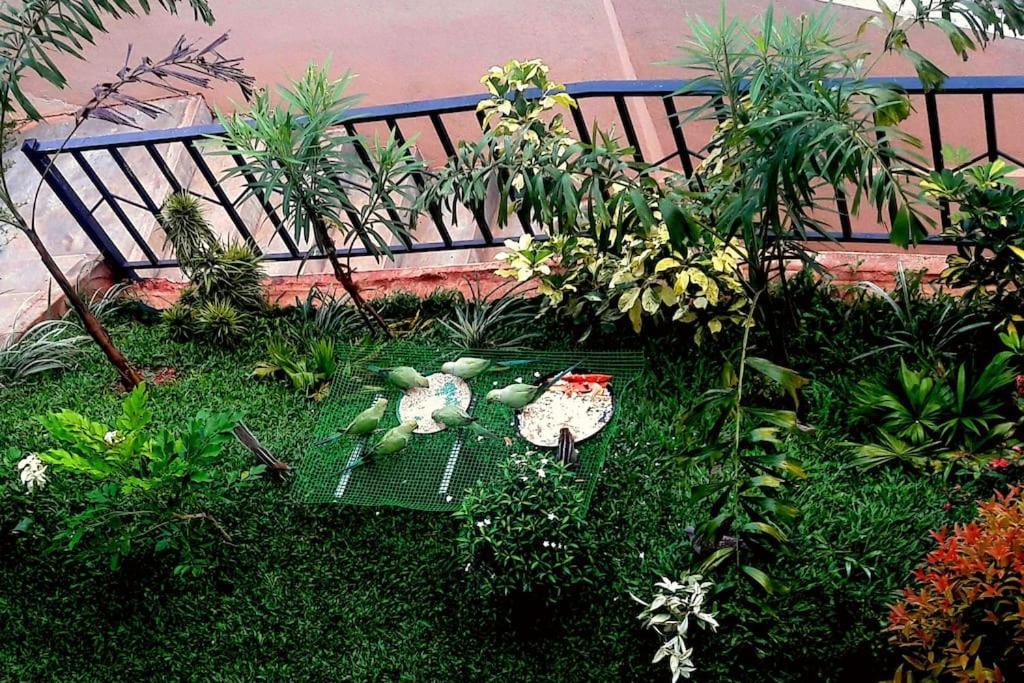 Saru Holiday Apartment - Upto 6 Guests Κάντι Εξωτερικό φωτογραφία